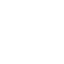 chief-data-officer 1